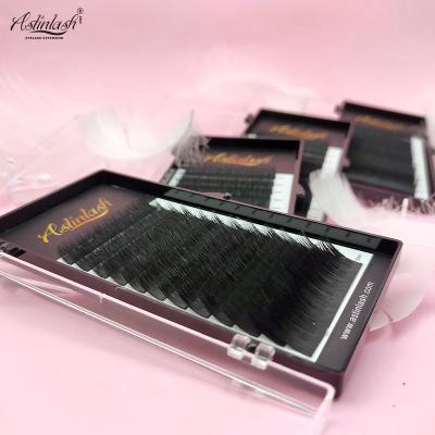 China Totally Soft Cashmere Eyelash Extensions Individual Blended Length In One Strip 0.07mm Thickness 3D-6D Flower Effect Volume Lashes for sale