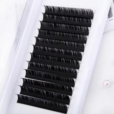 China Natural Soft Volume Lash Private Label Extensions 0.03 0.05 0.07 0.10 Automatic Easy Fan Blooming Fanning Lashes for sale