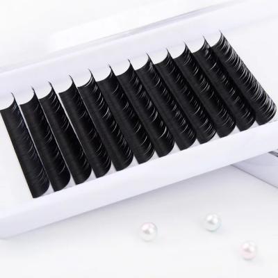 China Hot Selling 0.05mm Fan Cashmere Easy Volume Tray Eyelash Extensions Waterproof for sale