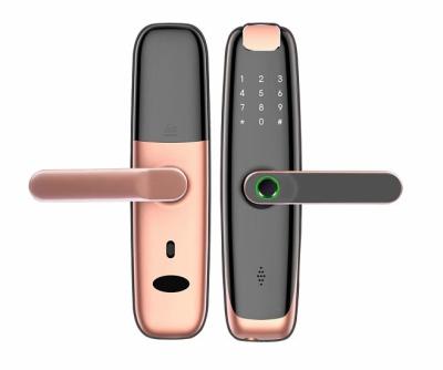 China Hot sale smart electronic lock new good quality door lock folder23 for sale