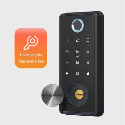 China Aluminum Alloy Smart Waterproof Rim Door Lock TWOtuya Tuya TT APP Entry Door Smart Lock Security Protection for sale