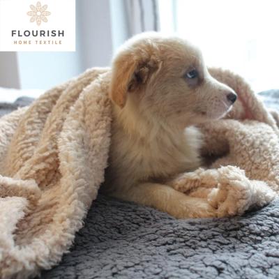 China Travel Flourish Blanket Paw Print Dog Fleece Blanket Soft Fluffy Custom Warm Training Pet Throw Blanket for sale