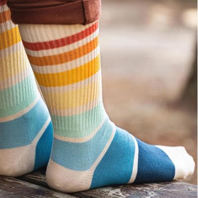 China Cute Antibacterial Insti Rainbow Tube Sock Custom Over Calf Gay Dress Socks Rainbow Crew Socks for sale