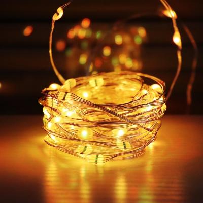 China Decorative Led Light Chain Trendecor Lights , Batteries Powered RGB Color Changing Copper Wire LED Fairy Lights for sale