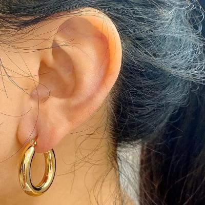 China Other Heart EN02 Huggie Hoop Earring Jewelry Women Stainless Steel Gold Hoop Earrings for sale