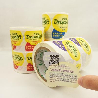 China Eco-Friendly& New Product Washable Hot Round Custom Color Custom Label Fruit Label Waterproof Durable Adhesive Sticker for sale