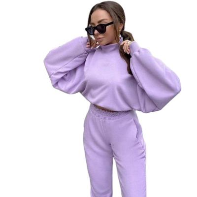 China QUICK DRY Women's Sports Suit, New Winter High Neck Warm Fleece Cotton Sports Suit for sale