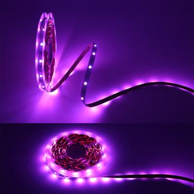 China landscape 5m 3528 2835 dreamy color 5050 smd rgb flexible landscape decor light 12v 24v 3014 led strip for sale