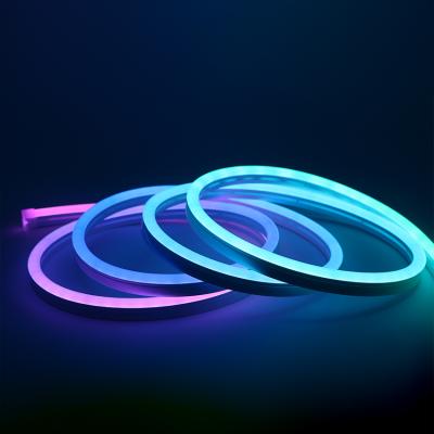 China LANDSCAPE strip 0817 silicone tube 12v 24v cable rgbc accessible custom led neon lights for happy birthday for sale