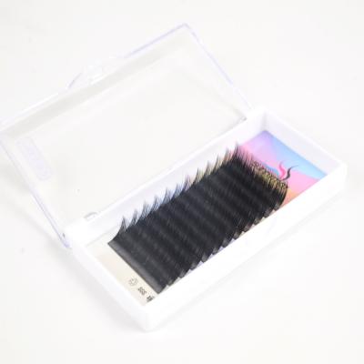 China One Softer High Quality False Mink Silk Eyelash Private Label Volume Eyelash Extensions From Sunnymay for sale