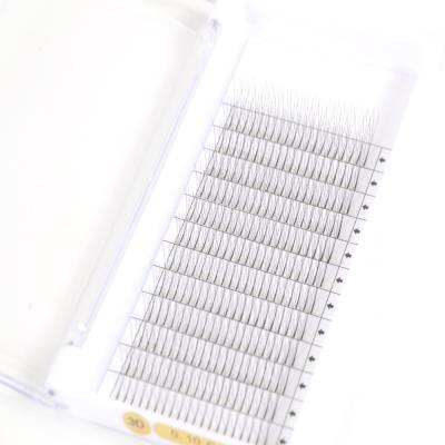 China Sunnymay Premade 3D Korean Fiber Softer PBT Natural Eyelashes Fan Different Quality Volume Nice Lashes for sale