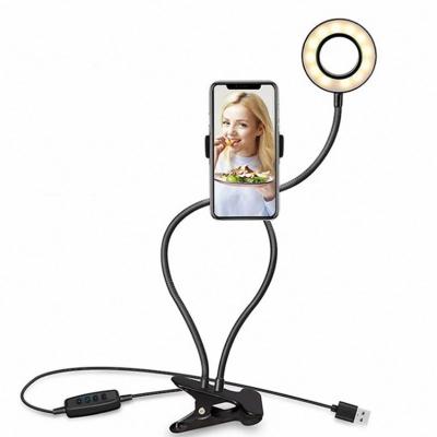 China PORTABLE 2 in 1 Vlogging Video Ring Light and Flexible Cell Phone Holder Gooseneck USB Clip on for Live Streaming Video Recording for sale