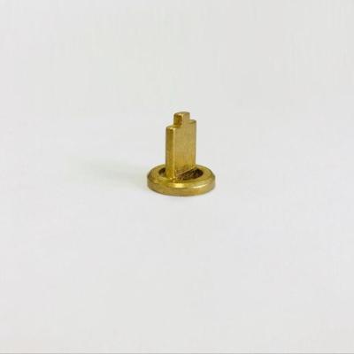 China Die Casting Lock Accessories Brass for sale