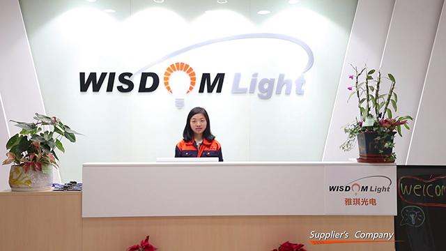 Verified China supplier - Shenzhen Wisdom Light Co., Ltd.