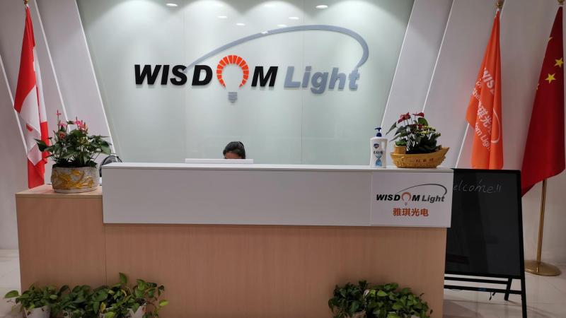 Verified China supplier - Shenzhen Wisdom Light Co., Ltd.