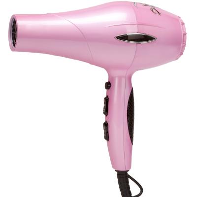 China Ionic Professional Negative Ionic Blow Dryer Professional Private Label Salon Hair Dryer Powerful Blow Dryer with Cool Shot for sale