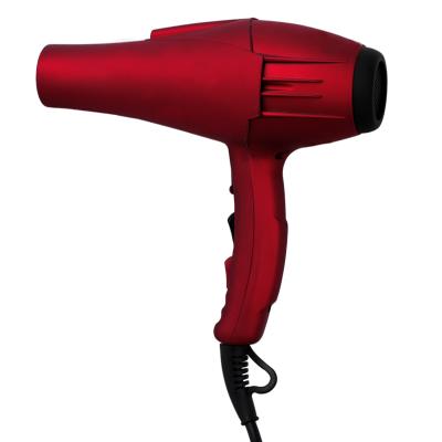 China Outdoor Hot Sale Hair Salon High Power Fast And Professional Blow Dryer Accept Private Label for sale