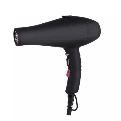 China Salon 2400W Private Label Ionic Powerful Professional Blow Hair Dryer With AC Motor for sale