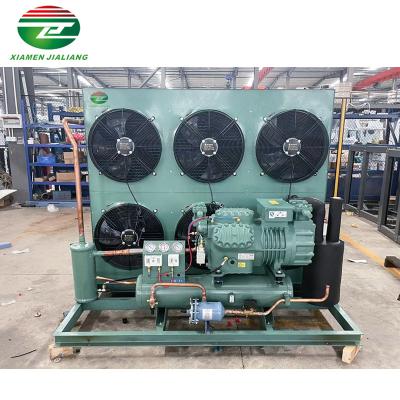 China Refrigeration Parts Freezer Room Refrigeration Unit Cold Room Condenser Unit Cold Storage Equipments For Sale for sale