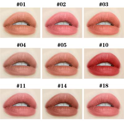 China Low Moq Matte Lipstick Matte Custom Logo Private Label Wholesale Waterproof Vegan Long Lasting Lipstick for sale