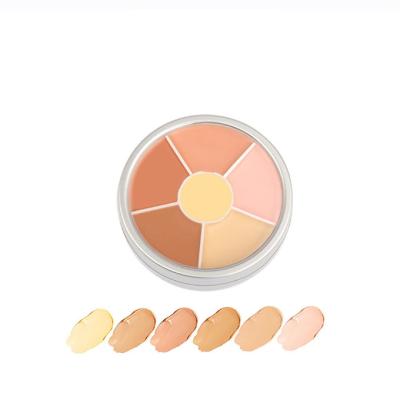 China Moisturizer Customize Private Label 6 Colors Makeup Full Coverage Scar Concealer Palette for sale