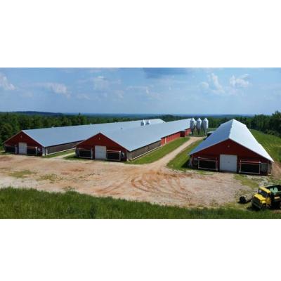 China Automatic prefab steel frame chicken farm poultry farm manufacturing steel structural construction laid chicken layer farm for sale