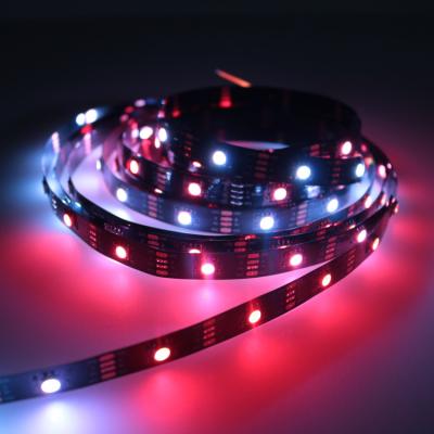 China Accessible Decoration Lighting DC12V DMX Individually RGB Magic Pixel Led Strip Light for sale