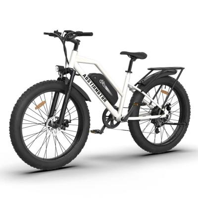 China Aluminum 26inch 48v750w E-bike 13ah Long Range Off Road  Fat Tire Electric Dirt Snow Beach Bicycle For Adult for sale