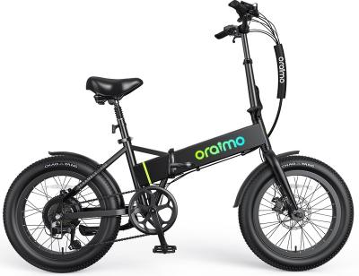 China Aluminum Alloy Electric Bike for Adults  700W  Hidden Battery   3A Fast Charge  20