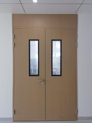 China Off-White/Blue Cleanroom Swing Door with Thermal Insulation for Dust Prevention for sale