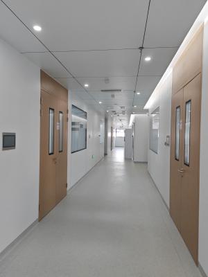 China Wooden Grain Steel Double Cleanroom Swing Door Hospital Metal Doors With Glass Vision for sale