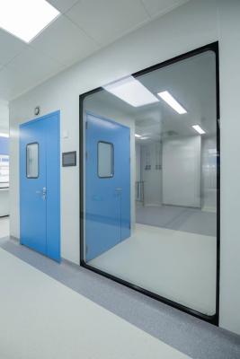 China HE201 0.8mm Galvanized Steel Sandwich Clean Room Door for Food Industrial for sale