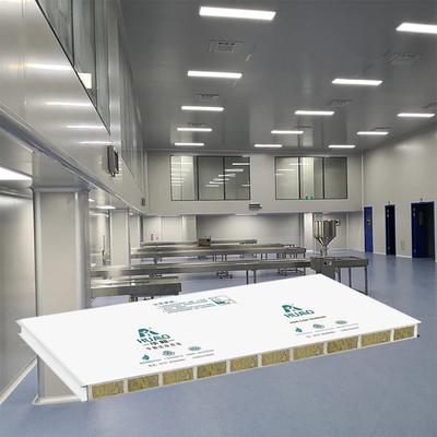 China Modular Cleanroom Sandwich Wall Panel and Walkable Panel for Food Pharmaceutical Workshop Clean Room 50mm Rockwool for sale