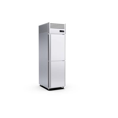 China 35 Tray Commercial Upright Freezer 2 Deur220v Commerciële Standup Diepvriezer Te koop