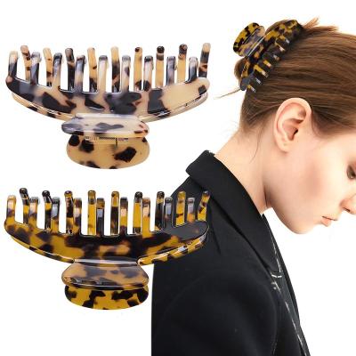 China Newest New Leopard Print Acetate Hair Claw Clip Acrylic Hair Clip Claw Korean Women's Hair Clip Claw for sale