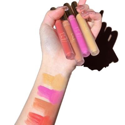 China Hot Selling Private Label Liquid Blusher Palette Water Proof Blusher Stick for sale