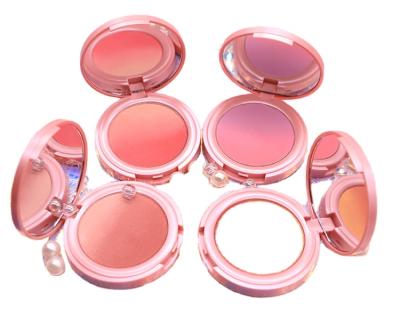 China Water Proof Full Pro Makeup Palette Concealerblusher Velvet Blusher Lipstick With Blusher Set for sale