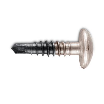 China Truss Head Taiwan Phil Truss Head Bi Metal Self Drilling Screw for sale