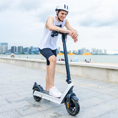 China China 500W Powerful Two Wheel Men 10 Inch Foldable Scooter Adult Electric Scooter For Sale for sale