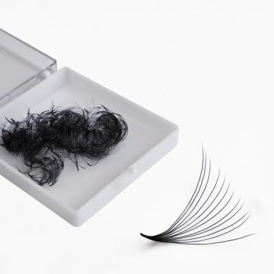 China 3D 4D 5D 6D Long Natural Eyelashes Eyelash Extension Loose Premade Premade Hand Made Loose Fans Lash Supply for sale