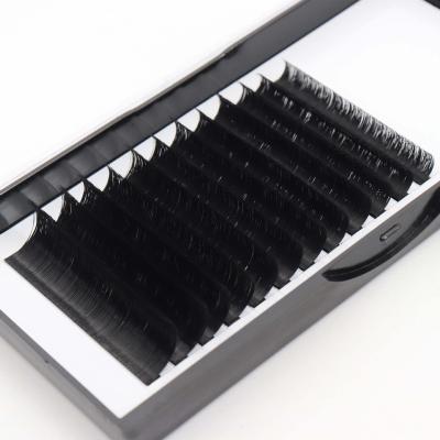 China Natural Long Lash Fans Easy Fan Lashes Faux Mink Pre Made Eyelash Extensions Professional Easy Fanning Lashes for sale