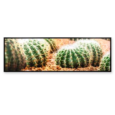 China Art Decor Xingcheng Tropical Cactus Small Green Plant Nordic Fresh Decorative Painting for sale