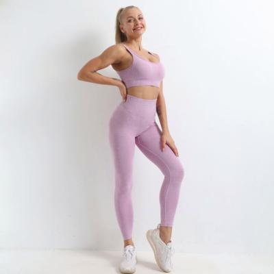 China Breathable Seamless Fitness Yoga Set Knitted Ribbed Quick Dry Yoga Suit Sports Tight Workout Clothes For Women Gym Clothing Bra+Leggings for sale