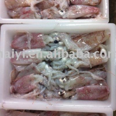 China Baby nutritious frozen squid (3-5 cm) for sale