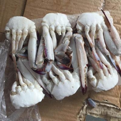 China FROZEN Halfcut Frozen Crab - half cut for restaurant - new landing - factory partner for sale