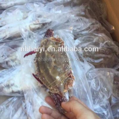 China W/R FROZEN Swimming Crab Big Frozen Blue Price In Stock for sale