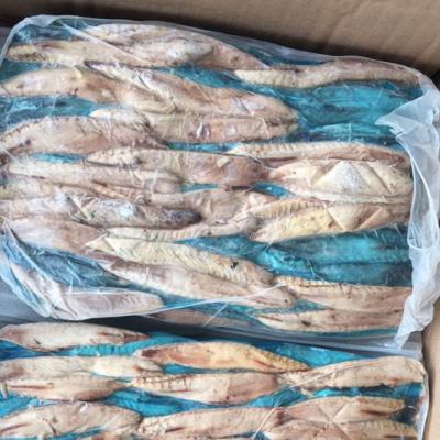 China FROZEN Tuna Loins Precooked Bonito for sale