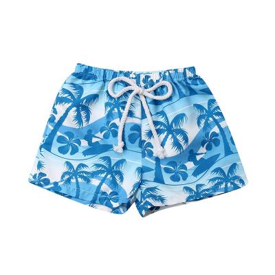 China Julysand Breathable Wholesale Kids Swimwear Little Boys Swimwear Boys Board Shorts for sale