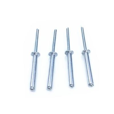 China Manufacturer Titanium Spring Steel China Supplier Mini Label Rivet Price for sale