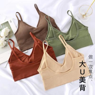 China China new breathable bra for 2020 seamless bralette hreaded cotton bra sports invest cotton sports bra for sale